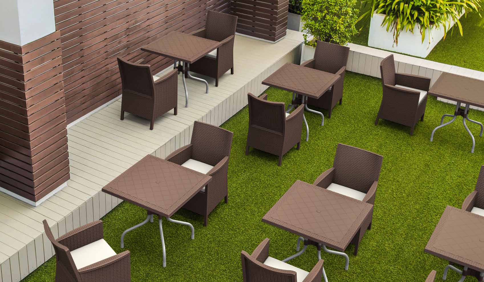 Forza Rattan - imagen 2